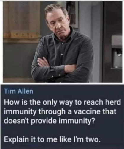 tim allen