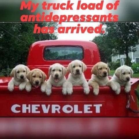 my truckload