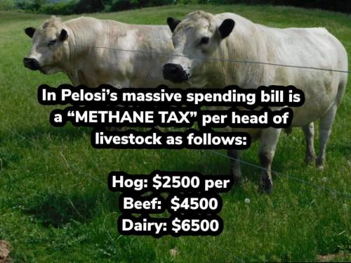 253711788_2063417210481621_2511185286299853725_n