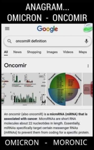 Screenshot_20211128-204334_WhatsApp