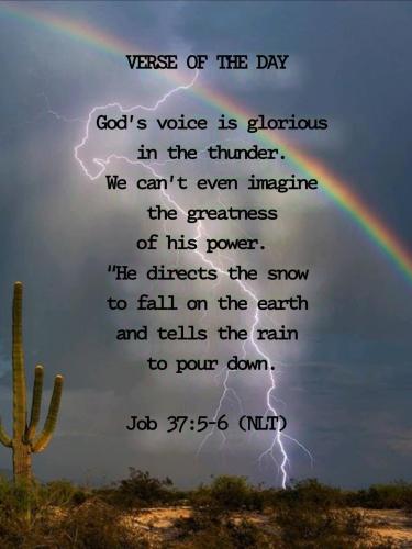 10:35:35 GMT-0500 (EST)