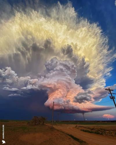 257410895_10228413792275951_4068543371048256280_n