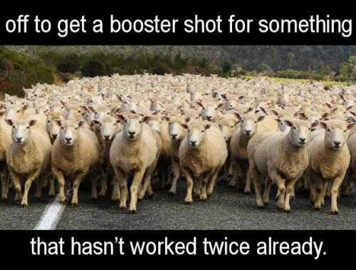 vaccine436