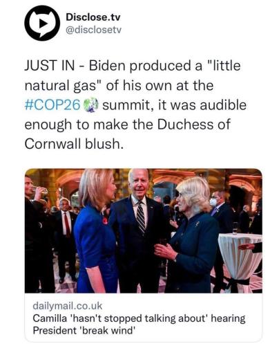 254126088_131242855949472_7626564942277704536_n