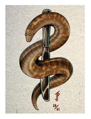 FB_IMG_1637475486247