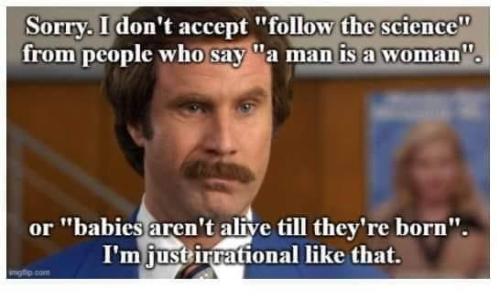 257101133_890684058504028_3449280568942494408_n