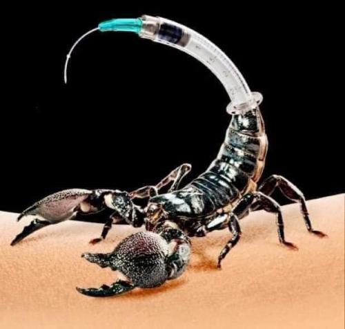 04:31:58 GMT-0600 (CST)