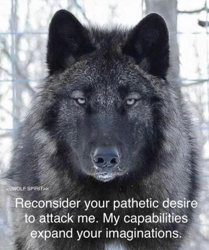 260719313_439541904209073_3834833266727213152_n