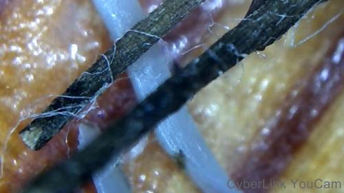 Huge Fullerene Origami Core Rod Bundle (10)