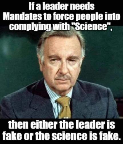 260172725_1108921253271269_6382150791982401487_n