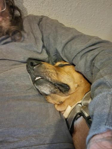 08:24:22 GMT-0600 (CST)