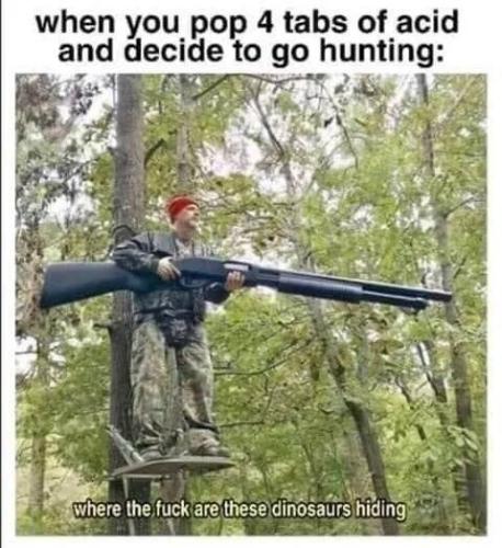 tumblr_5d14e482f9f1641dfe8f77fa26020b84_f6e9b778_500