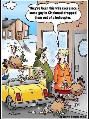 259125096_414595953638190_9221917057559547581_n