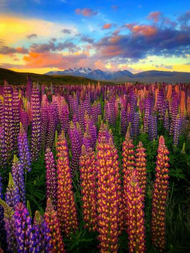 tumblr_9f1c827ebcc69d147cd17575dbc37c1a_20f31b75_1280