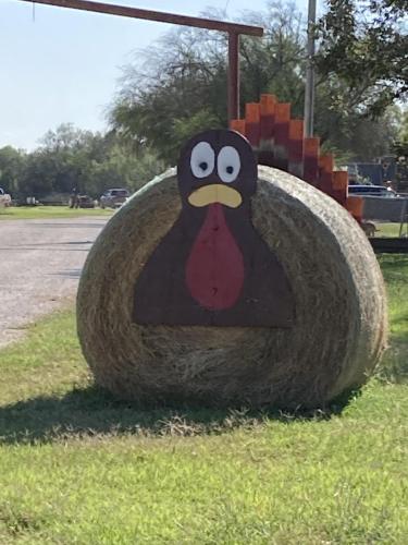 5FA1152A-D59E-4A92-93E3-AD507369BDAA