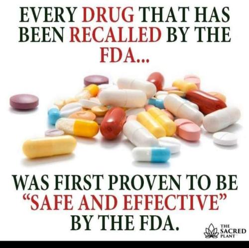 FB_IMG_1637505502679