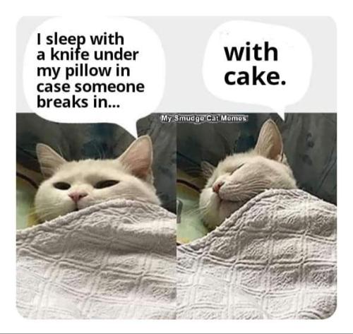 17:18:46 GMT-0500 (CDT)