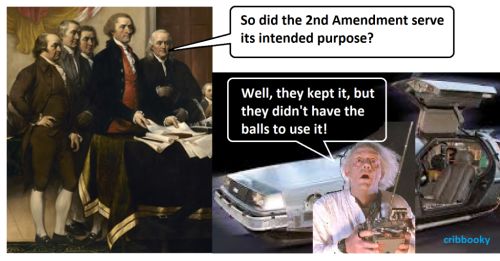 wasted_2nd_Amendment