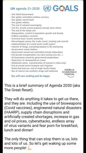 Screenshot_20211126-155225_Wimkin Uncensored