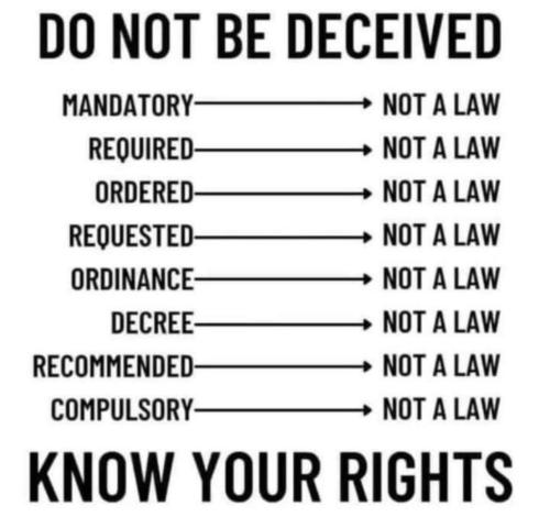 FB_IMG_1637446700029