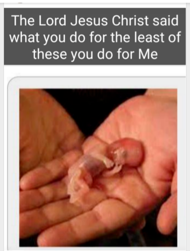 Screenshot_20211101-161137