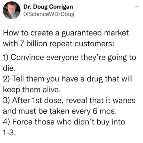 scamdemic31