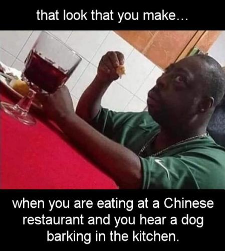 when you are eating at a Chinese Restaurant and you hear a dog barking in the kitchen