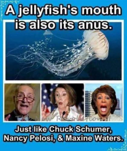 democrats472