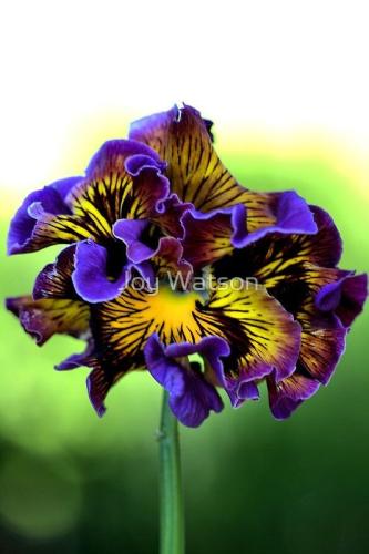 09:40:18 GMT-0600 (CST)