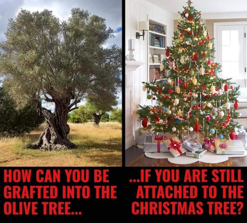 12:26:35 GMT-0900 (AKST)