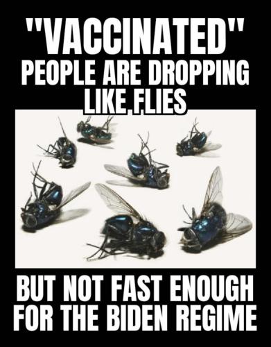 4D36FDDB-A426-4390-A070-5FE9672545AF