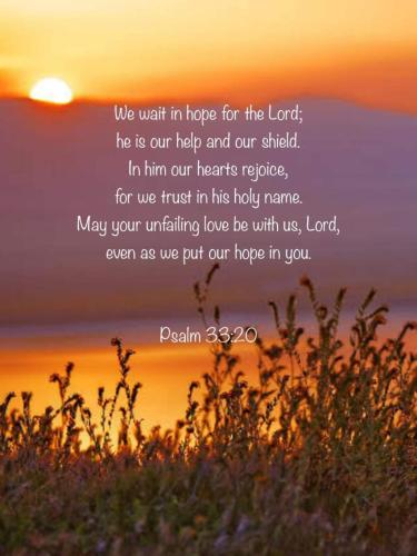 08:03:33 GMT-0500 (EST)