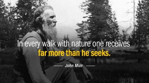 Quotation-John-Muir-In-every-walk-with-nature-one-receives-far-more-than-20-84-07