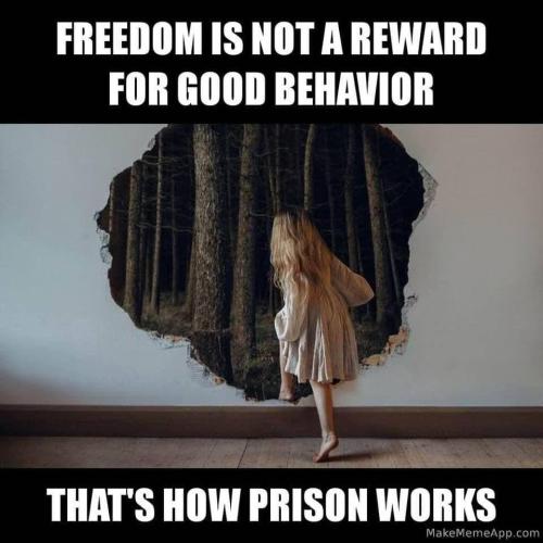 that's how prison works