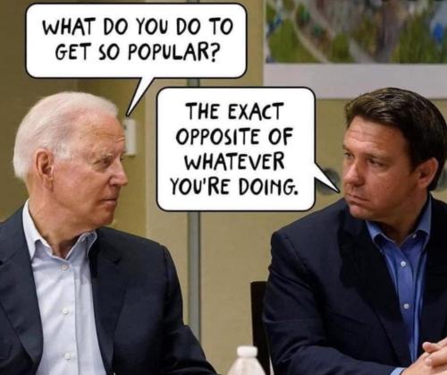 sngine_83cdaae9a2ef09ac16c2530066a0eb17