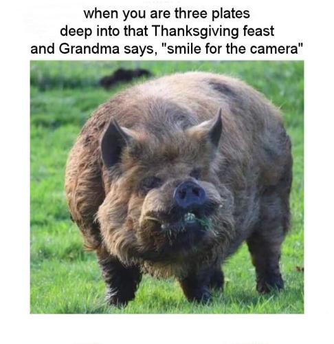 when youre three plates deep