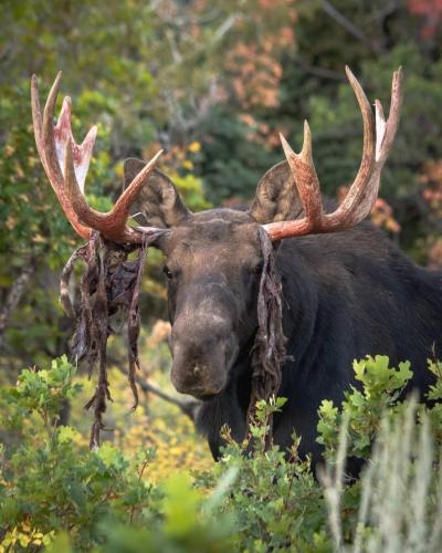 262090297_1734907250048493_5374655161391689144_n