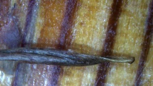 Fiber Banding Rod (2)