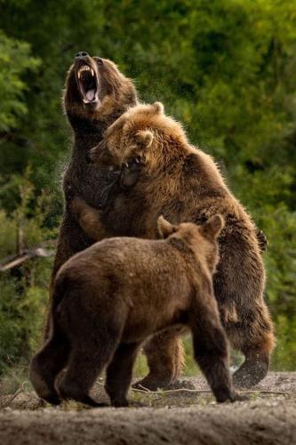 be8a5bfc2a7d6dec52fcbe0002cd6456