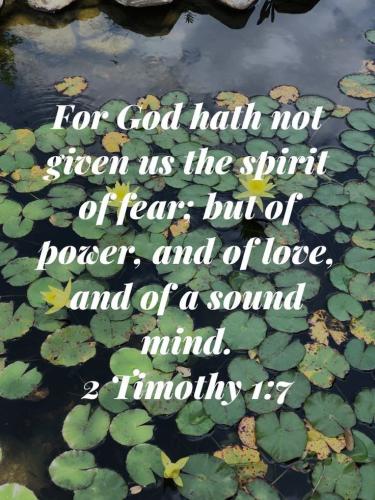 07:34:40 GMT-0600 (CST)