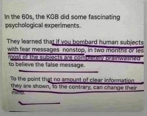 FB_IMG_1614961620476