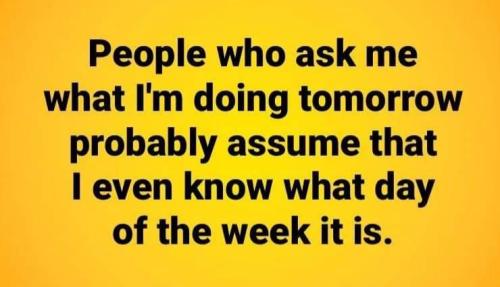 FB_IMG_1638252584459