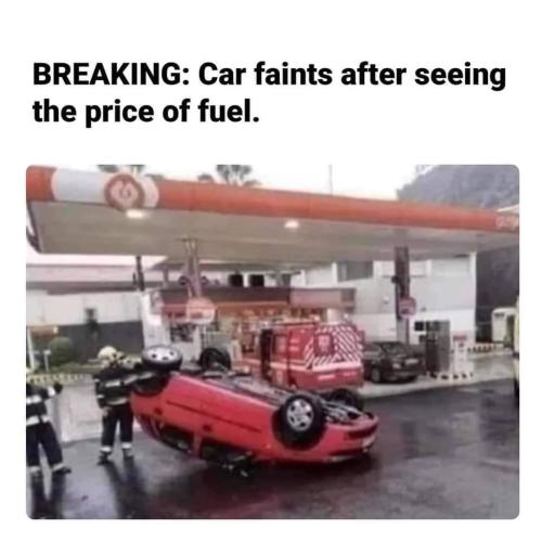 FB_IMG_1637479916172