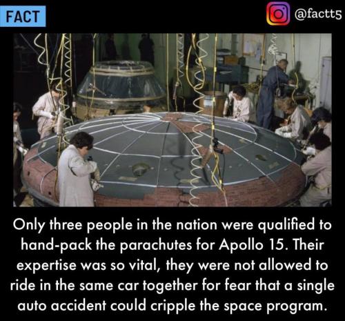 260536990_4633786050004661_6503089147249770102_n