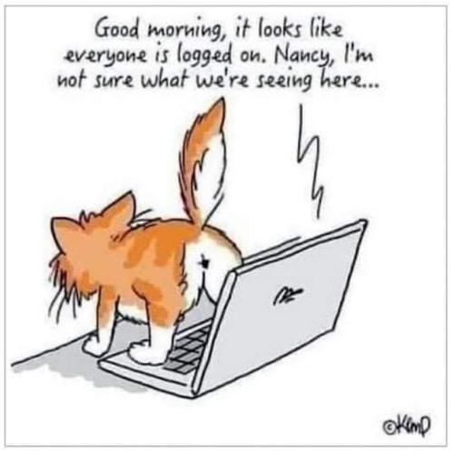 FB_IMG_1635389651018