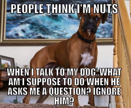 FB_IMG_1637932568502