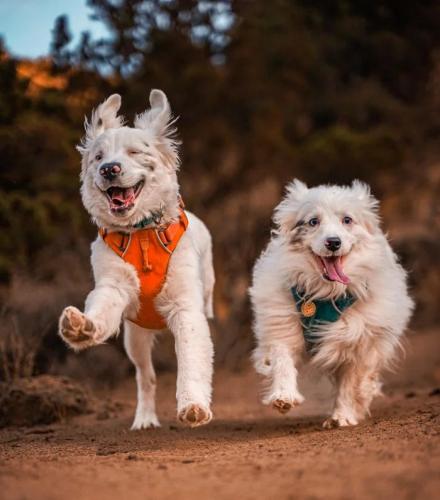 eb058f767ef389179072894719df5b0c_1024