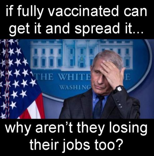 vaccine469