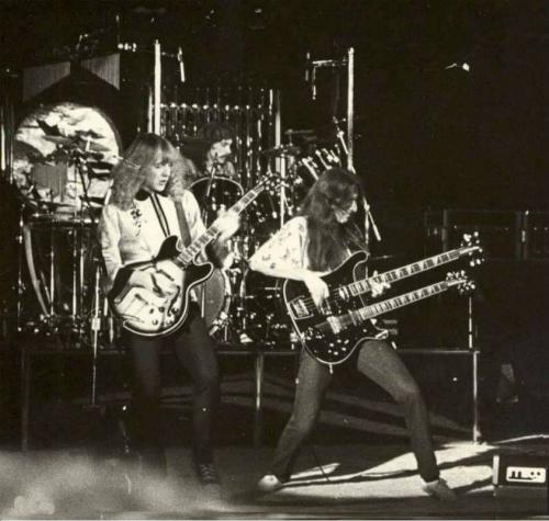 245608060_391297239378533_7281260021879777340_n