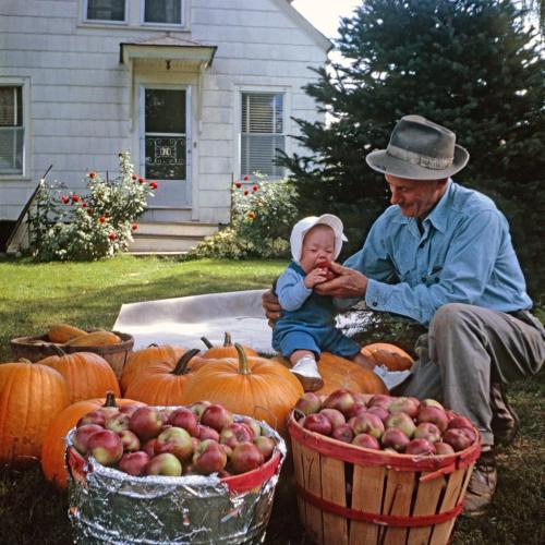 254028813_4364679976987950_6054780890932194746_n